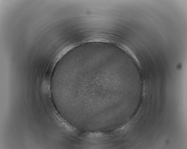 X0000090720882200707271150