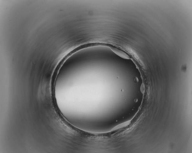 X0000090720884200707271150