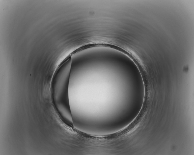X0000090720885200707271150