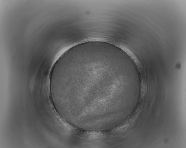 X0000090720886200707271150