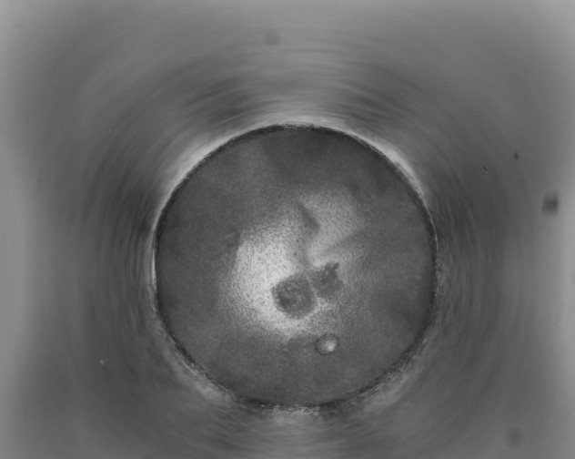 X0000090720887200707271150