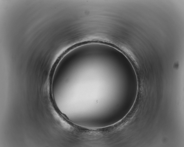 X0000090720888200707271150
