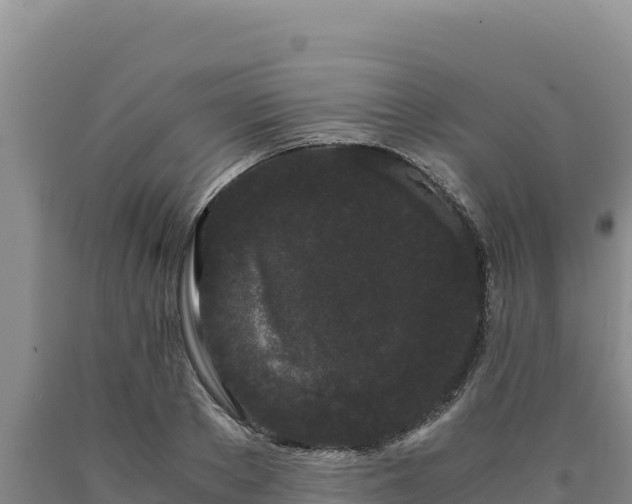 X0000090720889200707271150