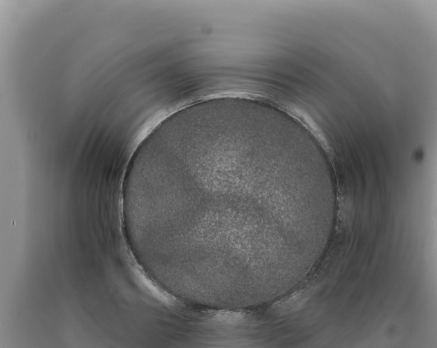 X0000090720890200707271150