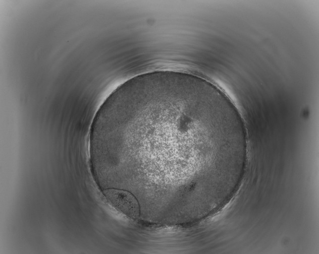 X0000090720891200707271150