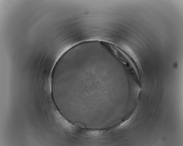 X0000090720892200707271150