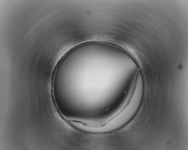 X0000090720896200707271150