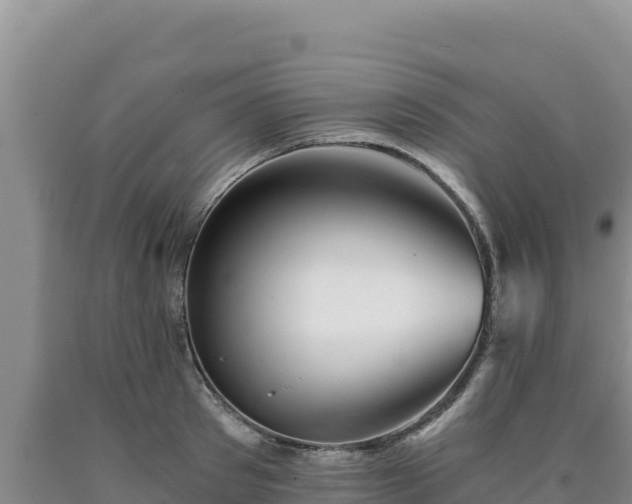 X0000090720897200707271150
