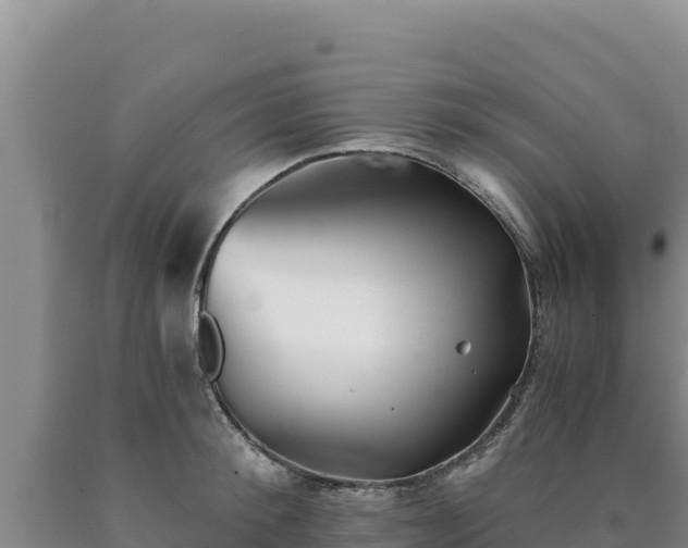 X0000090720900200707271150