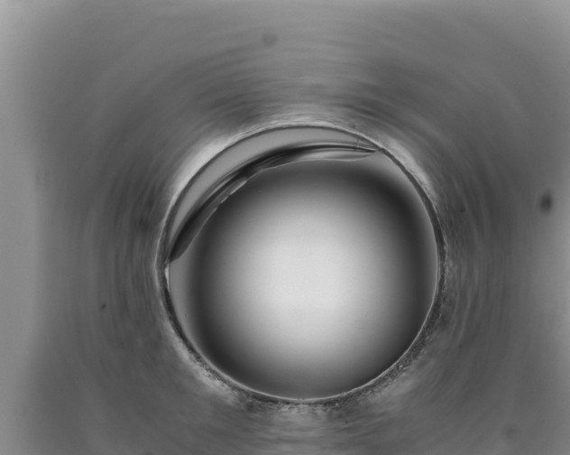 X0000090720901200707271150