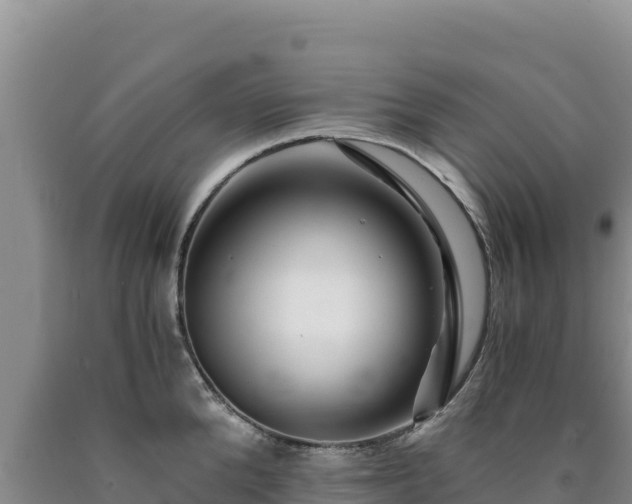 X0000090720904200707271150