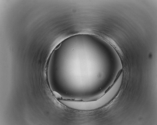 X0000090720908200707271150
