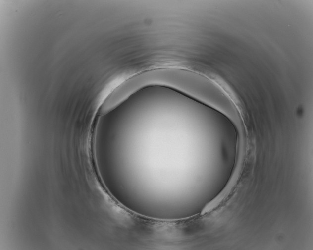 X0000090720909200707271150