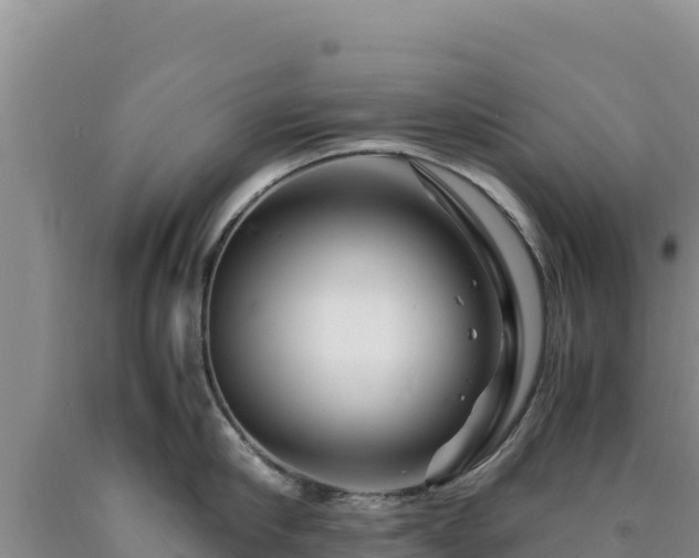 X0000090720910200707271150