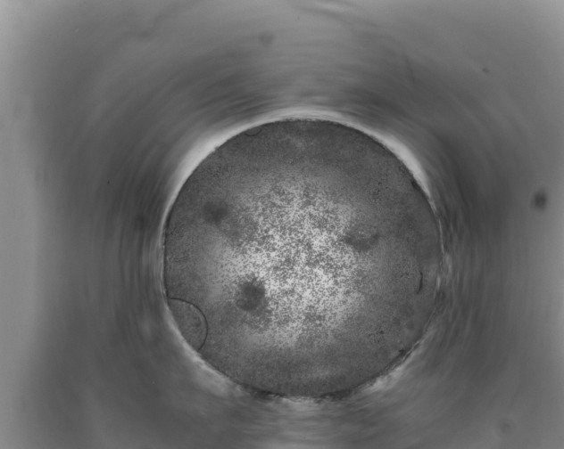 X0000090720911200707271150