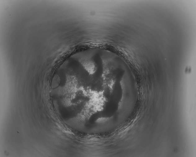 X0000090720913200707271149