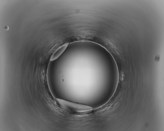 X0000090720915200707271149