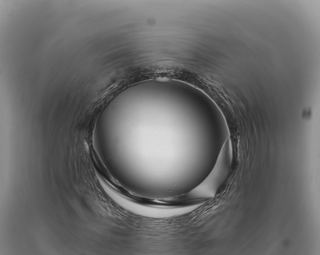 X0000090720916200707271149