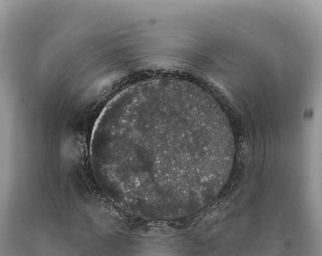 X0000090720918200707271149