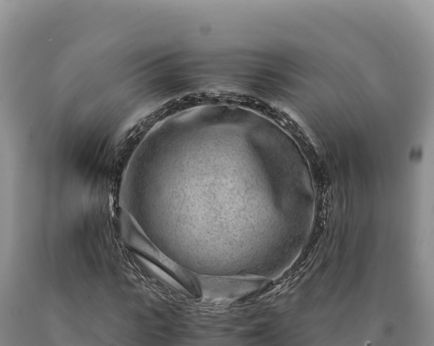 X0000090720919200707271149