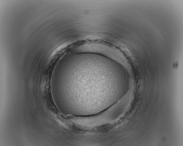 X0000090720920200707271149