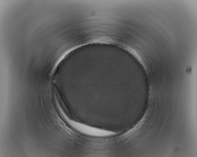 X0000090720923200707271149