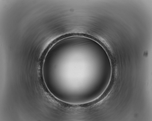 X0000090720926200707271149