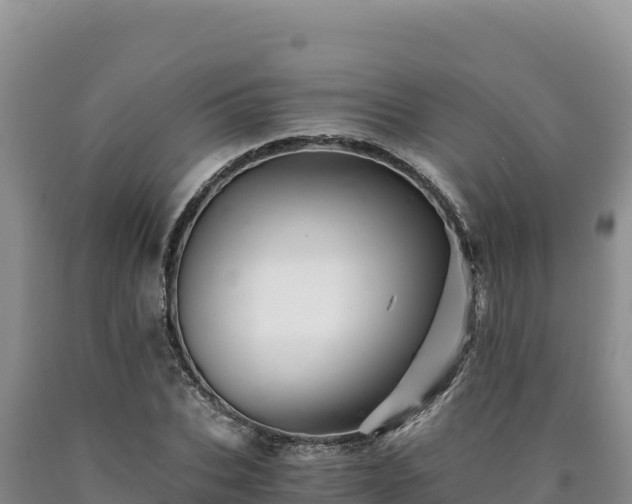X0000090720927200707271149