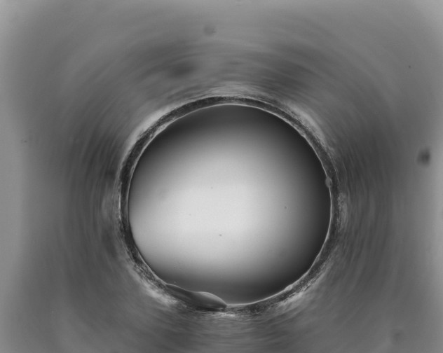 X0000090720931200707271149