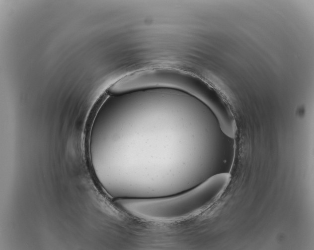 X0000090720932200707271149