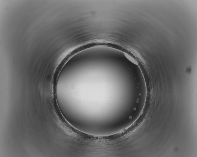 X0000090720934200707271149
