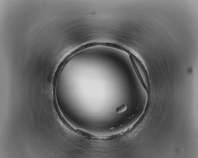 X0000090720935200707271149