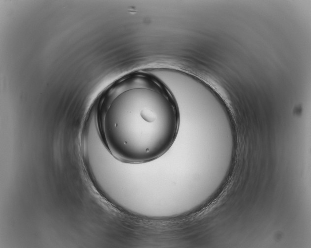 X0000090720936200707271149