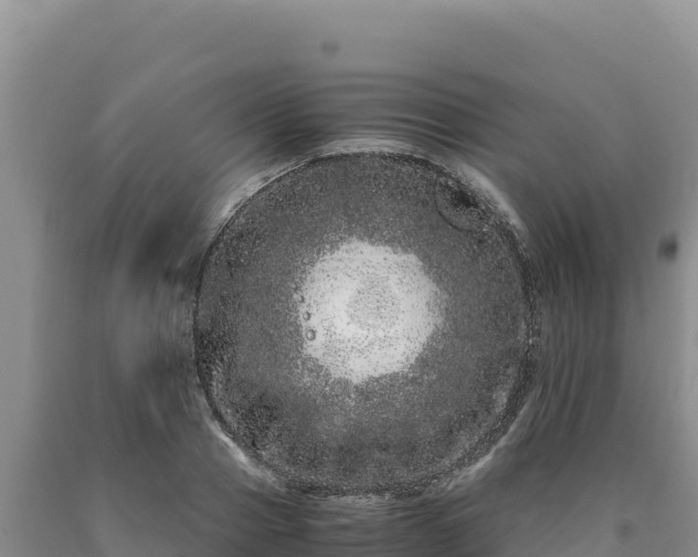 X0000090720937200707271149