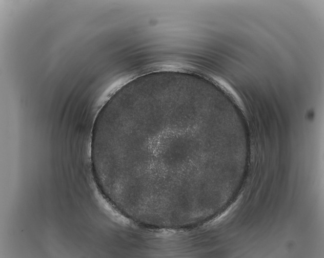 X0000090720938200707271149