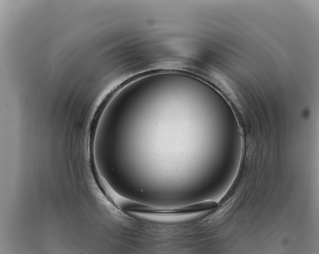 X0000090720939200707271149