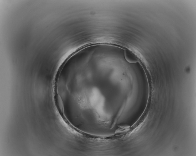 X0000090720941200707271149