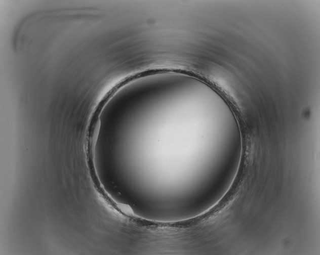 X0000090720942200707271149