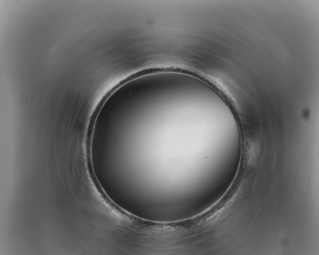 X0000090720943200707271149