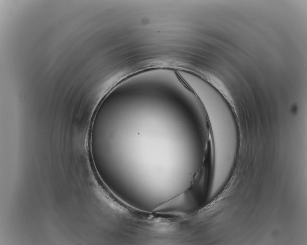 X0000090720946200707271150