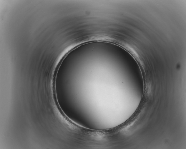 X0000090720947200707271150