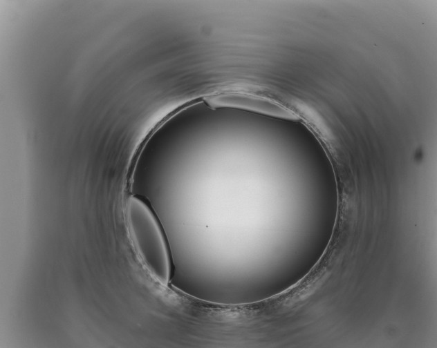 X0000090720948200707271150