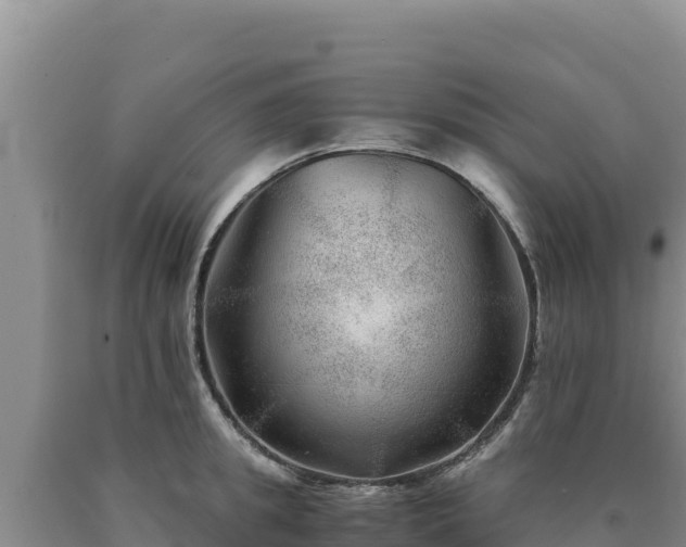 X0000090720949200707271150