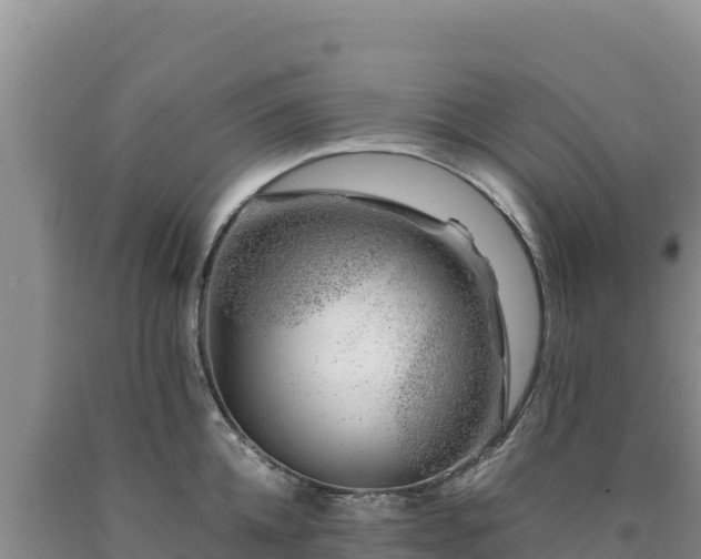 X0000090720952200707271150
