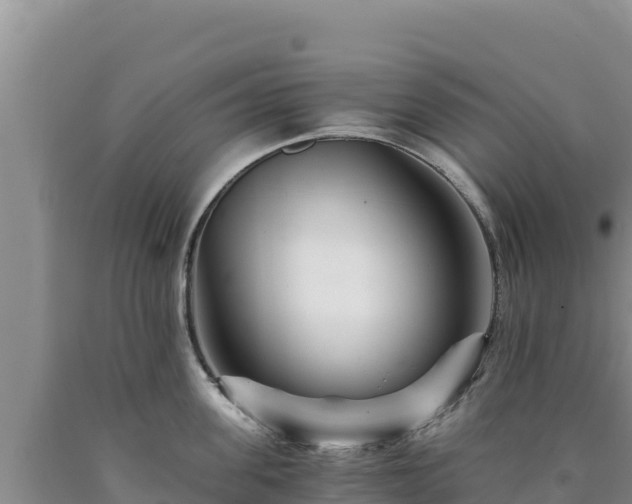 X0000090720955200707271150
