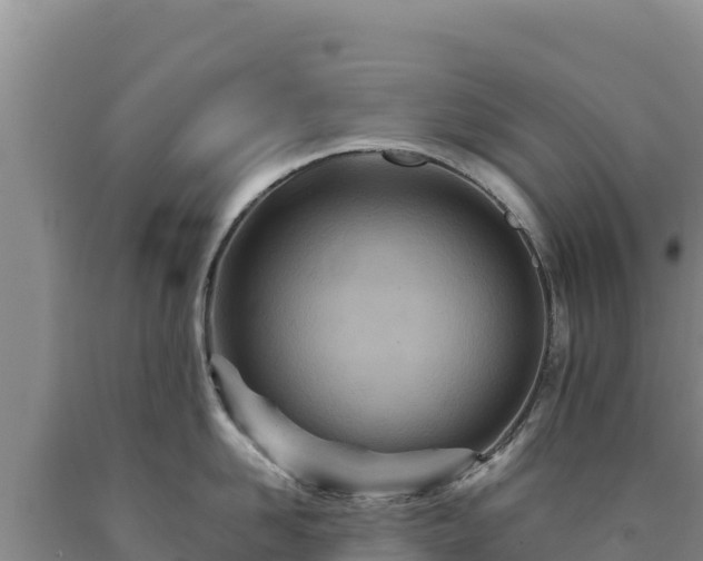 X0000090720958200707271150