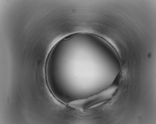 X0000090720959200707271150
