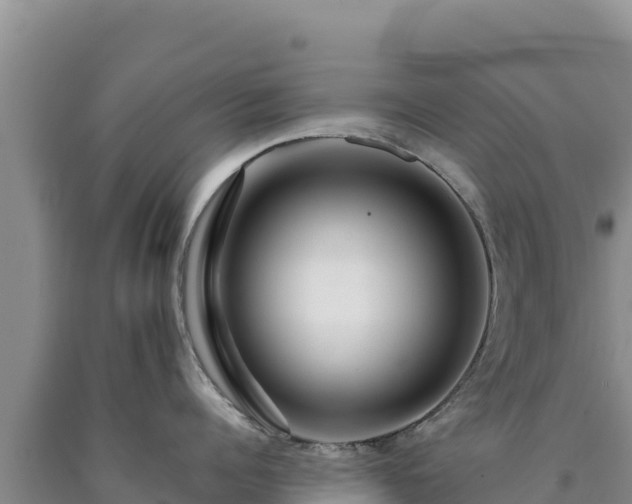 X0000090720960200707271150