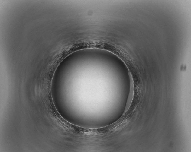 X0000090720961200707271149