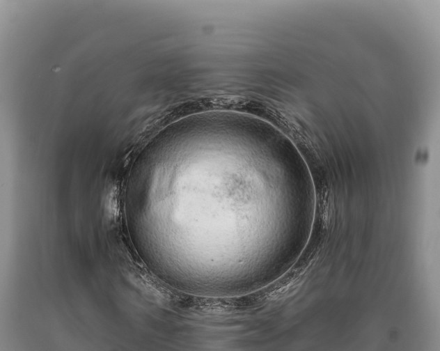 X0000090720962200707271149